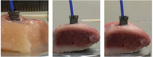 Figure 8: NanoTite™ implant embedded in a block of poultry soft tissue and irradiated by CO2 laser; Figure 9: NanoTite™ implant embedded in a block of pork rib bone and irradiated by CO2 laser; Figure 10: NanoTite™ implant embedded in a block of pork rib bone and irradiated by diode laser