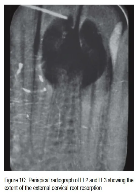 figure1c-hameed