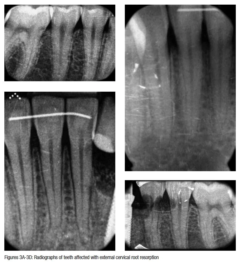 figure3a-3d-hameed