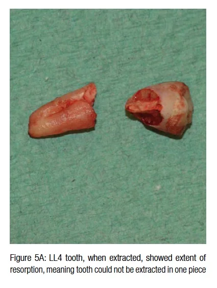 figure5a-hameed