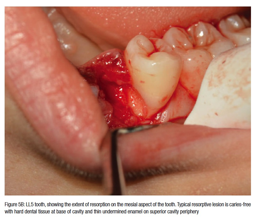 figure5b-hameed