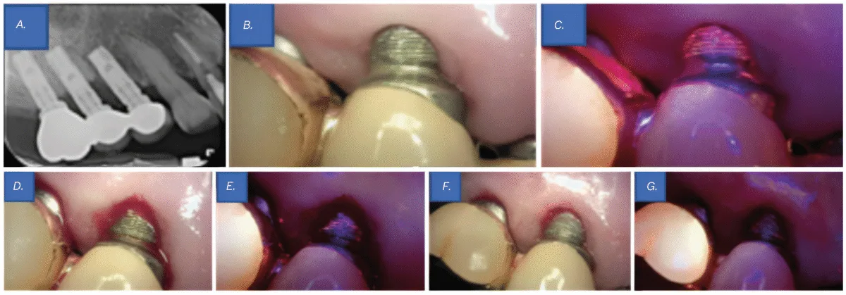 screenshot 2025 07 22 at 4.40.27 pm