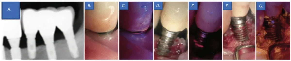 screenshot 2025 07 22 at 4.41.55 pm