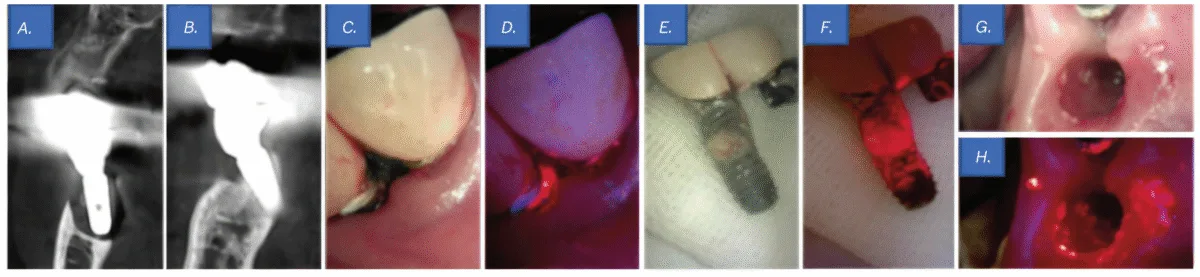 screenshot 2025 07 22 at 4.43.14 pm