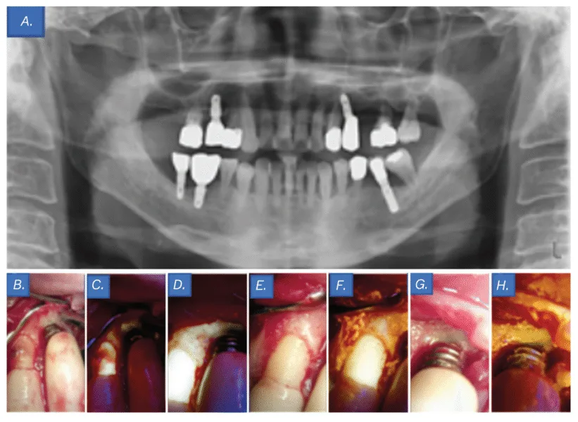 screenshot 2025 07 22 at 4.44.38 pm